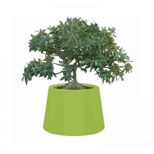 Sardana Pot Groen